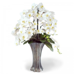 Jane Seymour Botanicals Phalaenopsis Orchid Bouquet Centerpiece in Decorative Vase JSBT1460